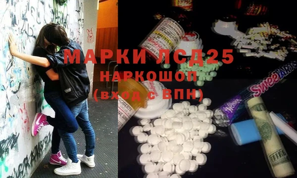 прущие грибы Костерёво