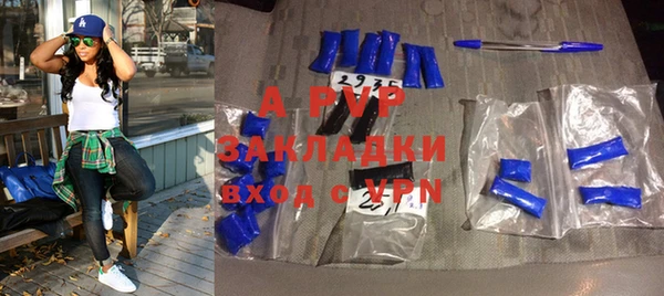 прущие грибы Костерёво