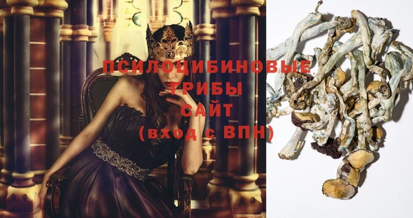 apvp Грязовец