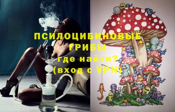 мет Корсаков
