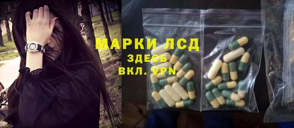 прущие грибы Костерёво